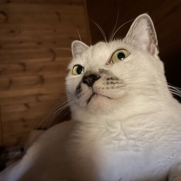 の写真