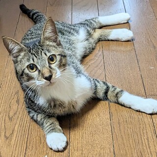 白ソックス♪シド君です☆