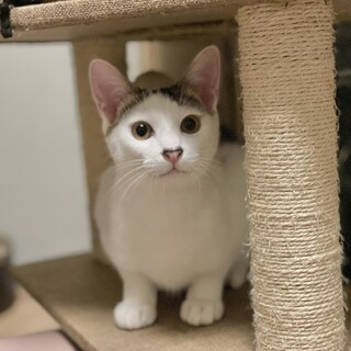 甘えん坊の男の子　生後7ヶ月