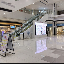 にゃげお譲渡会 サムネイル2