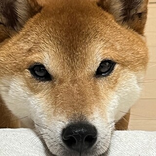 人懐っこくて笑顔が可愛いまたおくん！