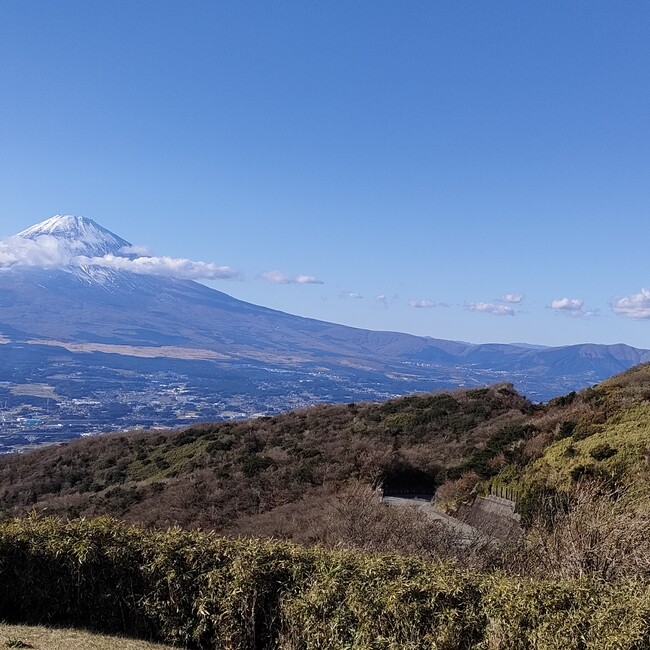 フラフラプープのカバー写真