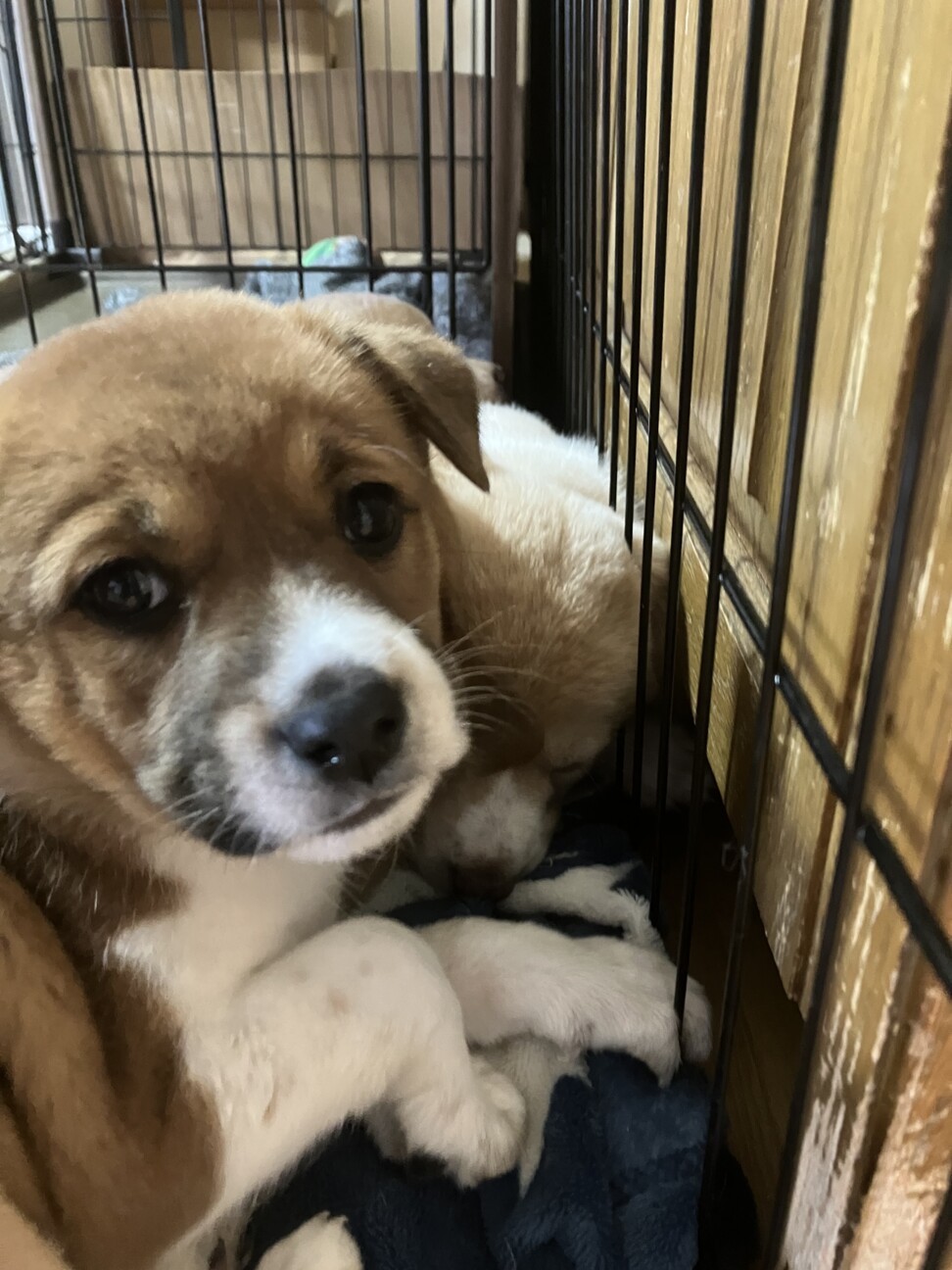 一旦募集停止甘えん坊なうららちゃん サムネイル5