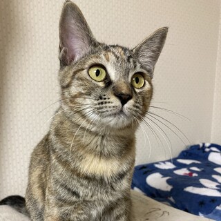 U小柄な女の子☆うみちゃん