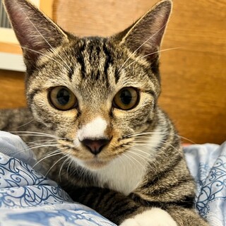 ハンデあり、お心ある里親様を募集しています。