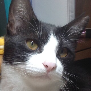 わっち・・・ありがとうございました。