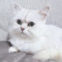 見学者様がいる為一時募集を停止します