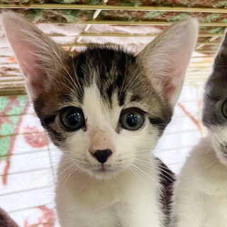 募集停止かまってちゃん男子⭐️つぶ