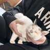 急募　里親募集 サムネイル4