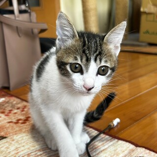 ミルクから育ったかわいい圭くん♪