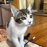 ミルクから育ったかわいい圭くん♪ サムネイル2
