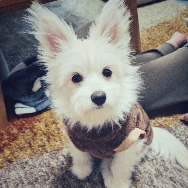 kaseyuhaのカバー写真