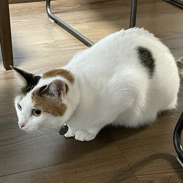 の写真