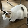 の写真