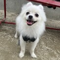元気で甘えん坊な男の子