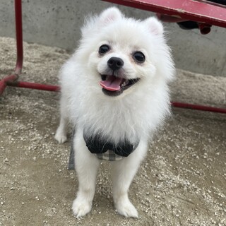 元気で甘えん坊な男の子