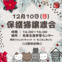 名古屋市 保護猫譲渡会