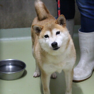 穏やかで人が大好きな可愛い紫帆ちゃん