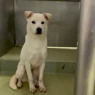 おやつ大好き 可愛いティムくん