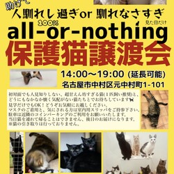 人馴れしすぎor馴れなさすぎ猫譲渡会　名古屋
