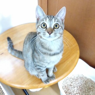 人慣れバツグン甘えん坊女子きいちゃん