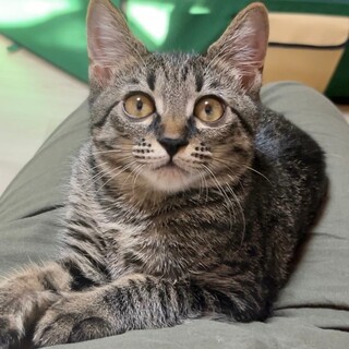 ■超甘えたニジ君　　