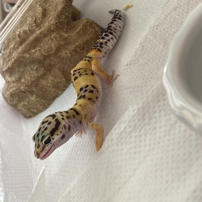 パルックのカバー写真