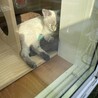 の写真