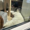 の写真