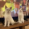 の写真