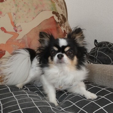 最近のお気に入り場所