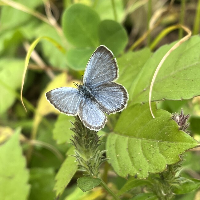 麗子さんのカバー写真