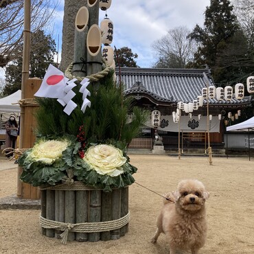 2023年初詣❤️