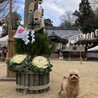 2023年初詣❤️