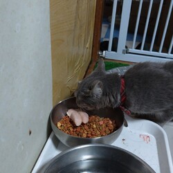 どろろちゃんとテリー君