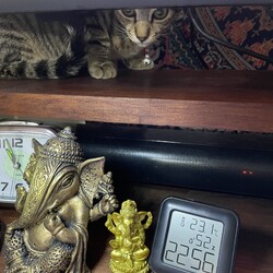 「マドカさん、お腹ピーピー⭐︎アゲイン(TT)」サムネイル2