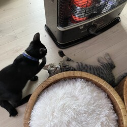 「マドカさん、お腹ピーピー⭐︎アゲイン(TT)」サムネイル3