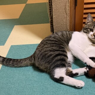 綺麗な顔立ちの男の子 一時中断中