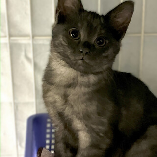 ルーチェちゃんと一緒に幸せになりました