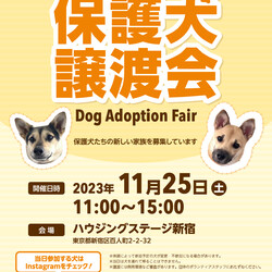保護犬譲渡会 in ハウジングステージ新宿