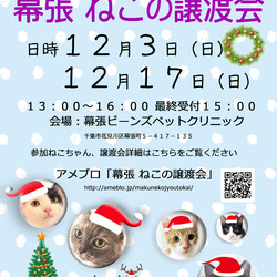 千葉市「 幕張 ねこの譲渡会」動物病院で開催です