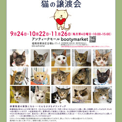 Bootymarket × [sakuraneko] 猫の譲渡会
