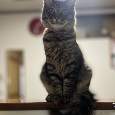 の写真