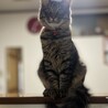 の写真