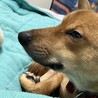 の写真