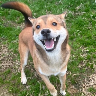 K23-M128　元気いっぱいの男の子♪