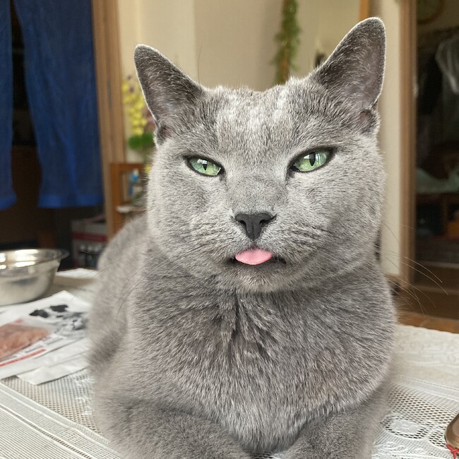 イマみんのカバー写真