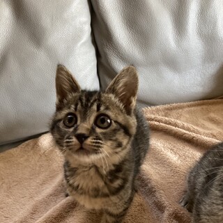 ありがとうございました★可愛いチェリーちゃん