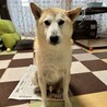 の写真