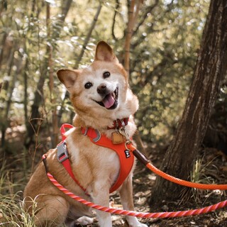 笑顔が可愛い♡チャーミー